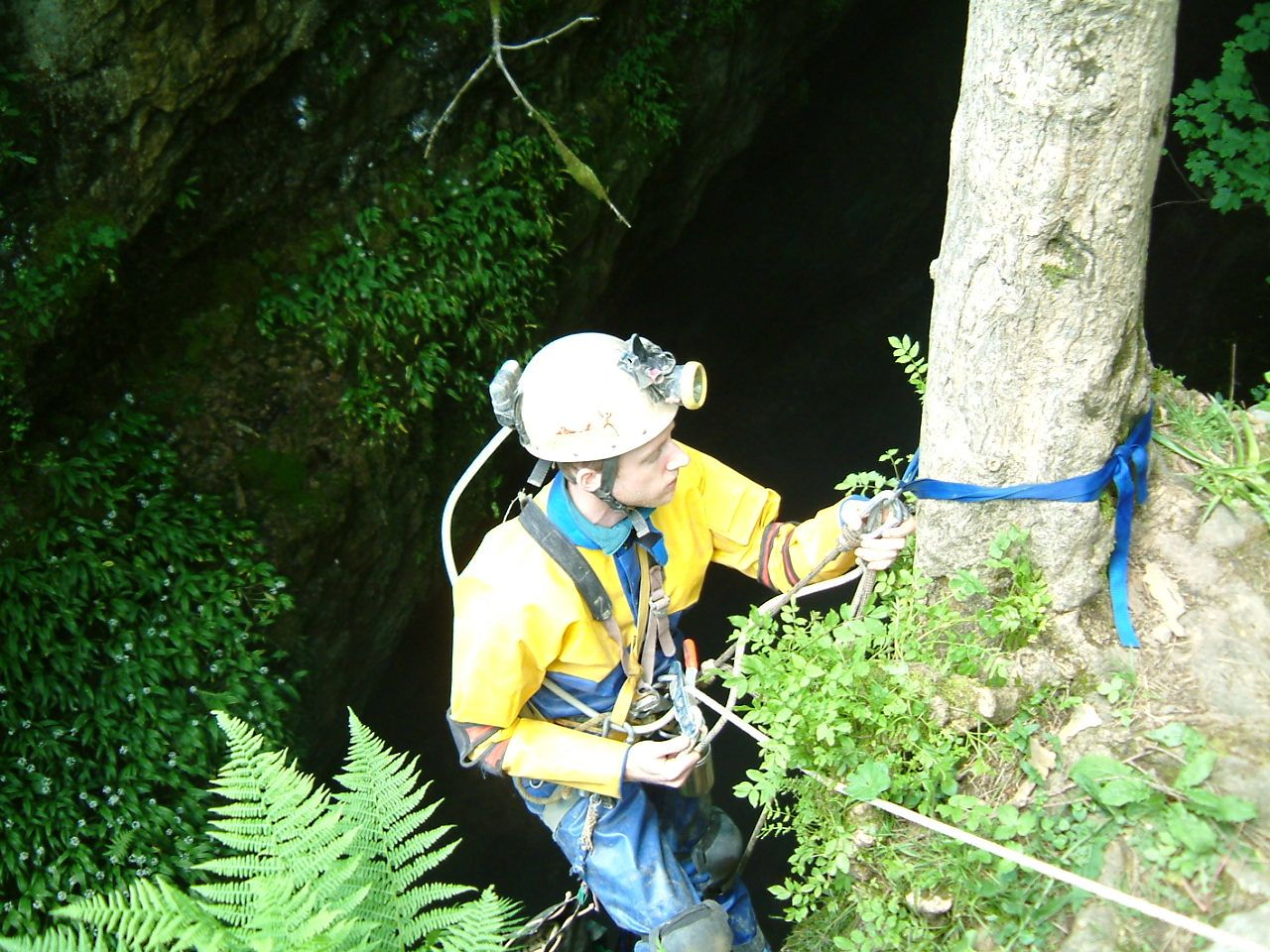 Thumbnail of photo from this article